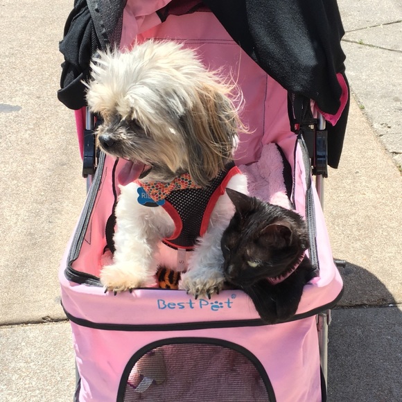 Hello there! I’m Jacquelyn! - Picture 4 of 8